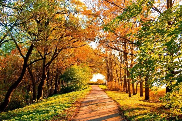 Ранняя осень