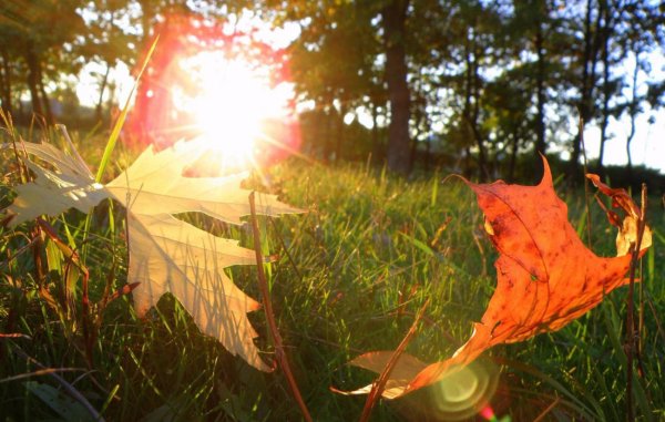 Конец лета и начало осени