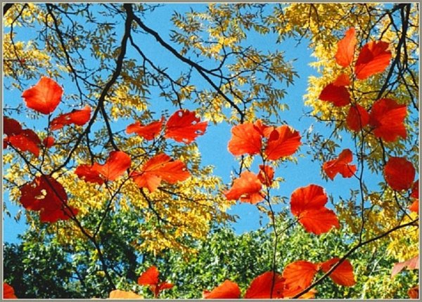 Осень прощается с летом