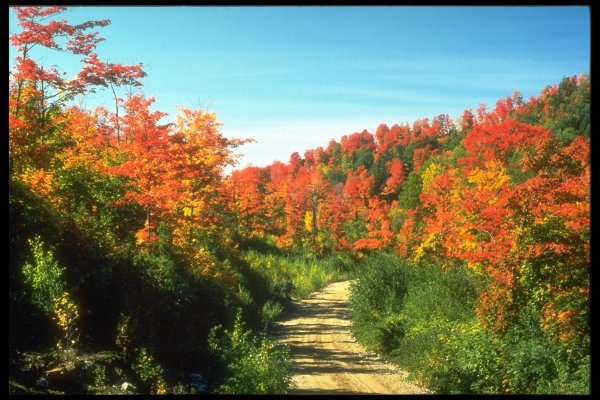 Лето против осени