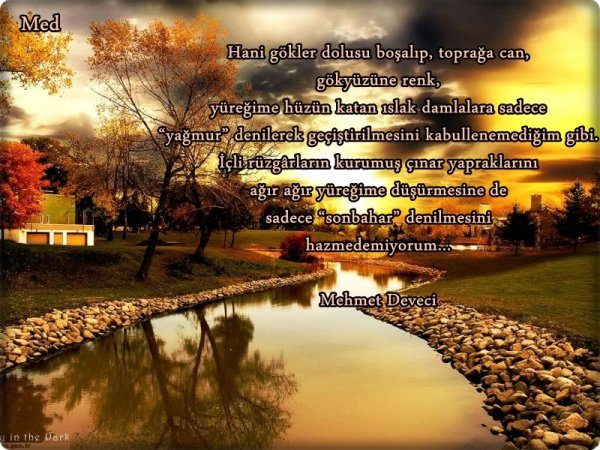 Лето пролетело