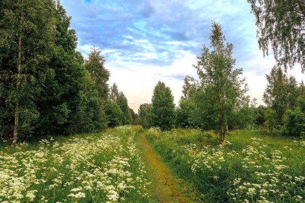 Луга Костромской области