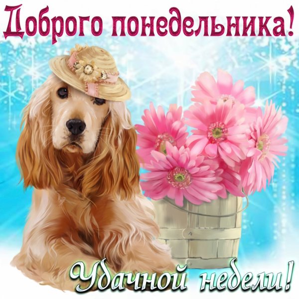 Майское утро понедельника