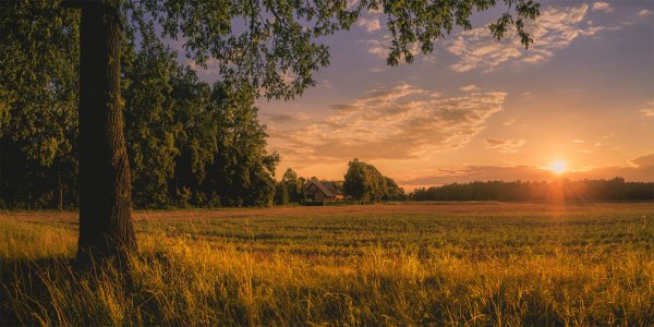 Закат в деревне летом