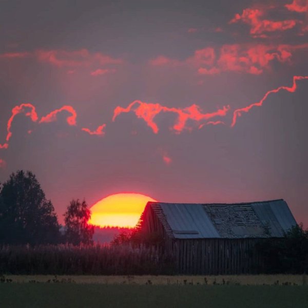 Утро в деревне