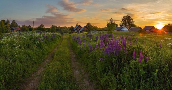Рассвет в деревне