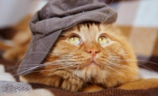 Открытки для поднятия настроения