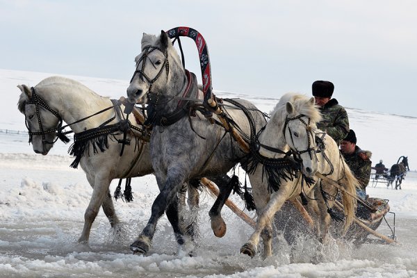 Запряженная тройка