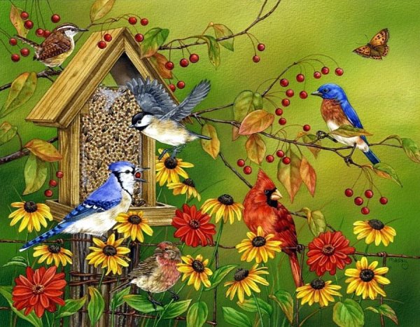 Джейн Мэдей птицы