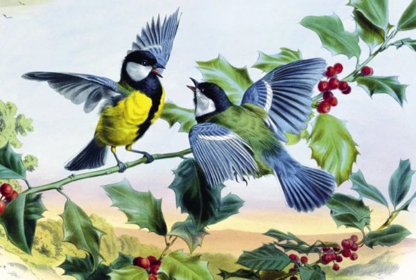 Синичка на ветке для детей