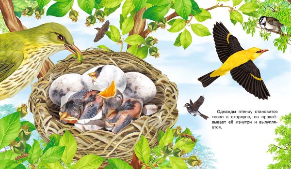 Птички для печати цветные