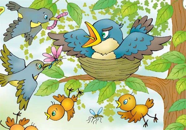 ДСМ.птицы 1921