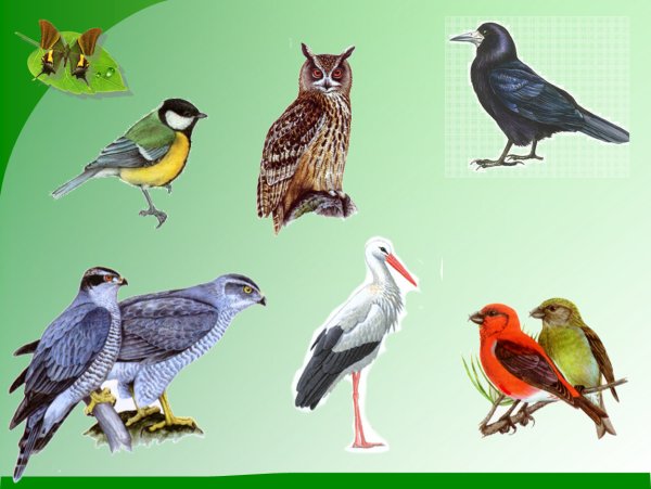 Gnbxrbдля украшения группы в детском саду