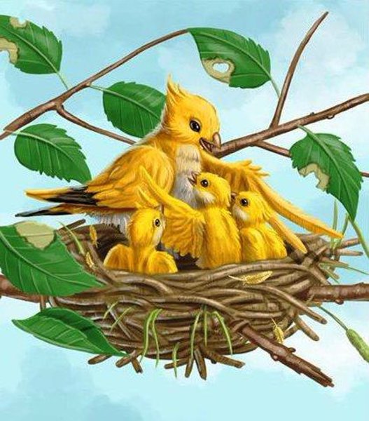 Зимующие птицы