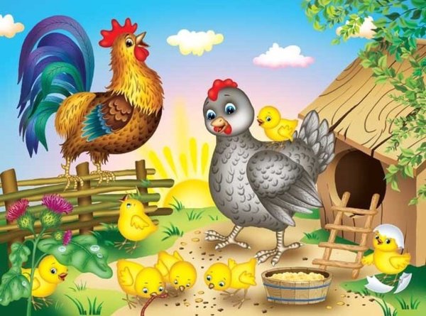 Птицы для уголка природы