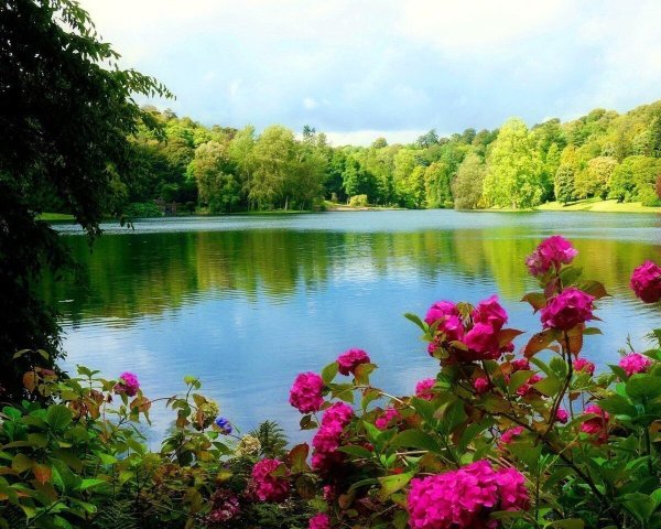 Пальмы и океан