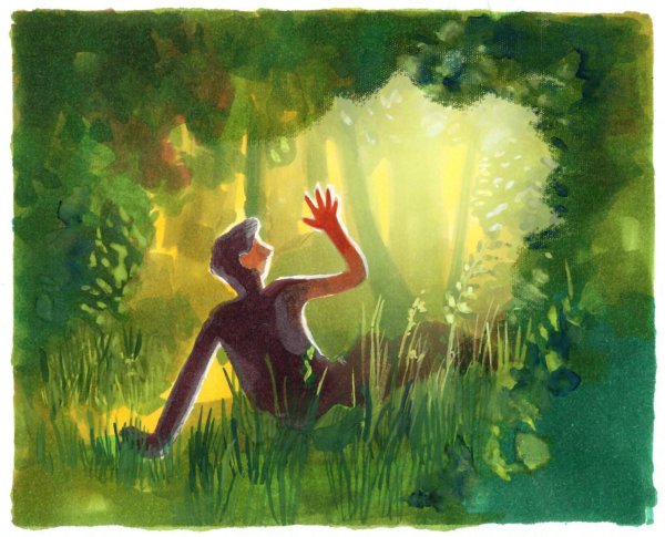 Дуглас Сполдинг вино из одуванчиков