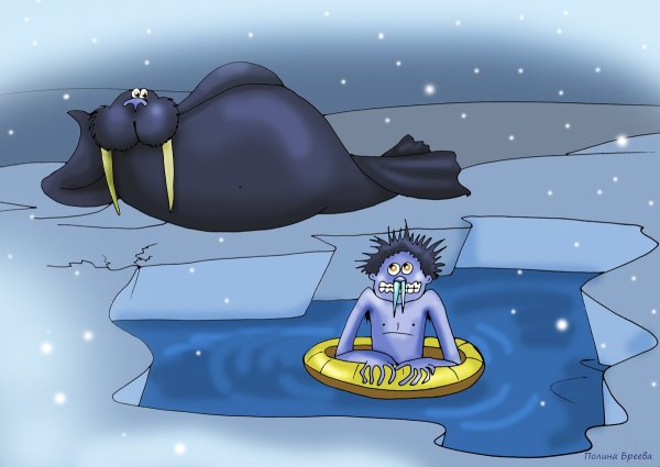 Моржевание карикатура