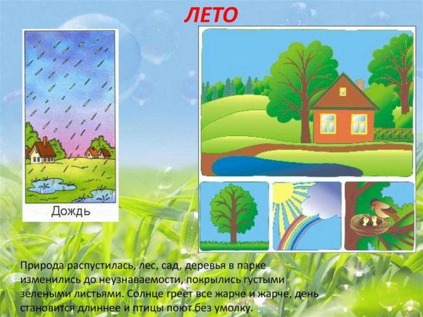 Летние явления природы для дошкольников