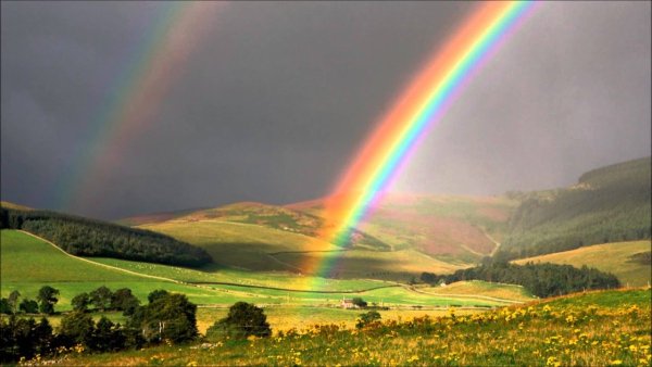 Радуга картина