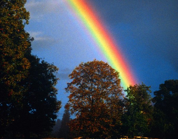 Радуга явление природы