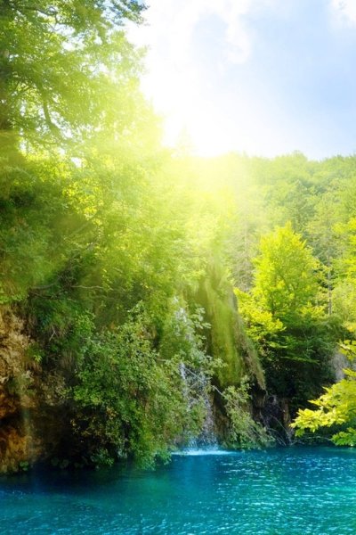 Летняя дорога