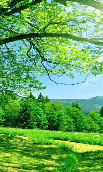 Красивый пейзаж