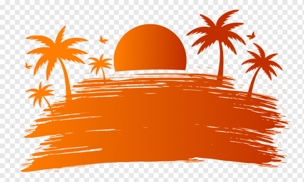 Здравствуй лето в детском саду