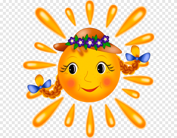 Солнце в очках вектор