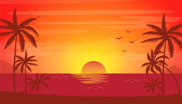 Открытки с апельсинами