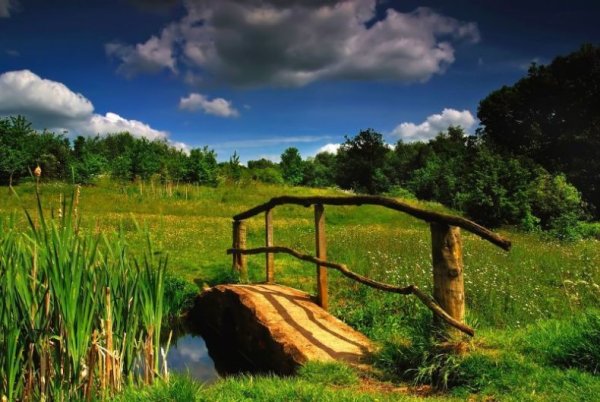 Ежик с дарами природы