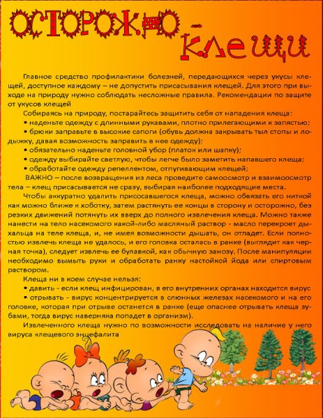 Клещи летом консультация для родителей