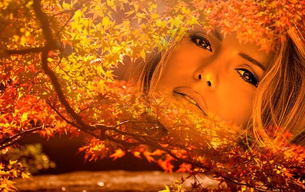 Рыжая красавица осень