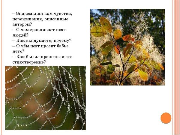 Дмитрий Борисович Кедрин бабье лето