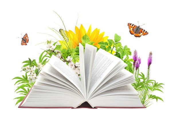 Неделя русского языка и литературы