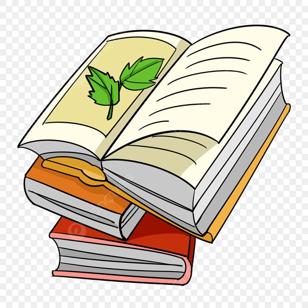 Книга рисунок