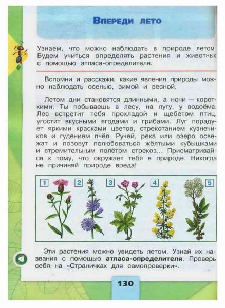 Книга без фона