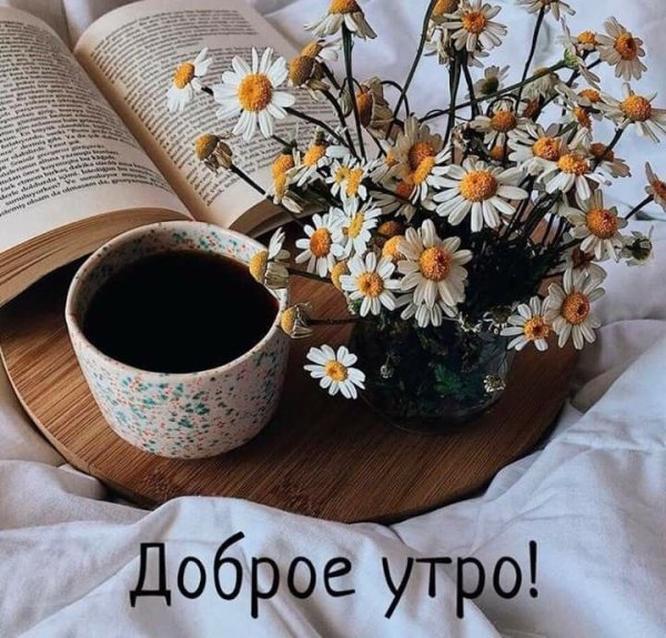 Доброго воскресенья