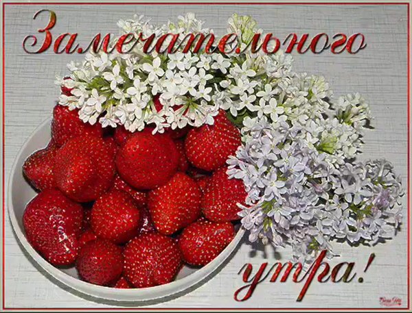 Добрых выходных и весеннего настроения