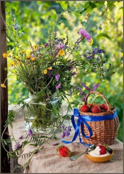 Доброе Воскресное утро прикольные