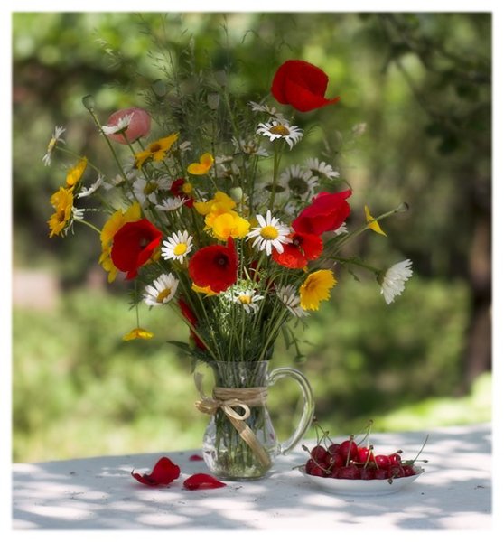 С добрым летним утром воскресенья