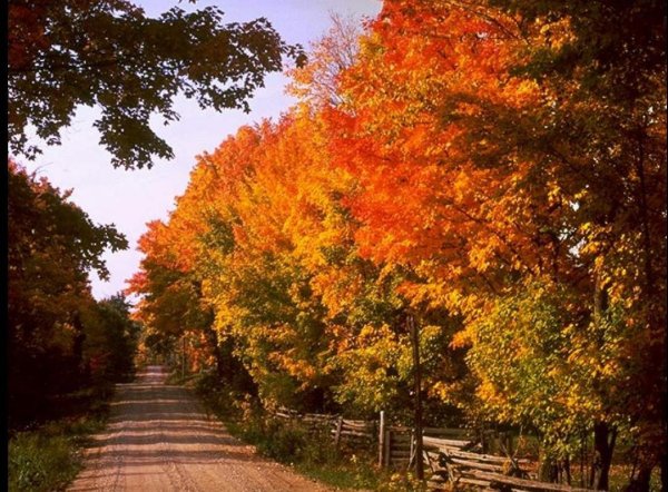 Между летом и осенью