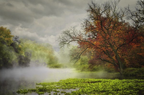 Пейзажи всех времен года