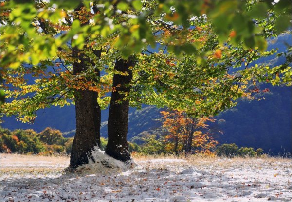 Осенние краски природы