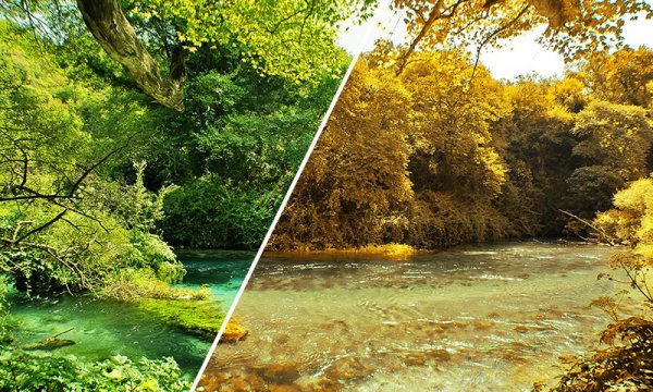 Зима и лето на одном фото