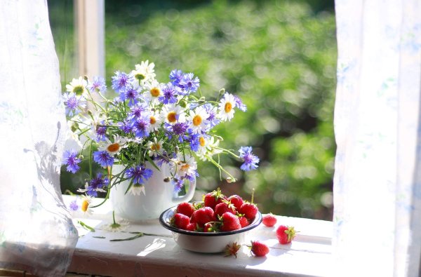 Летние цветы на подоконнике