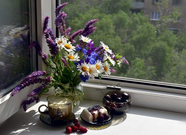 Подоконник с цветами