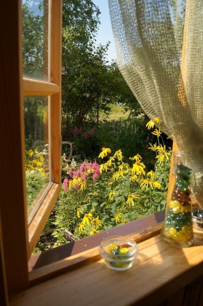 Сад в окне