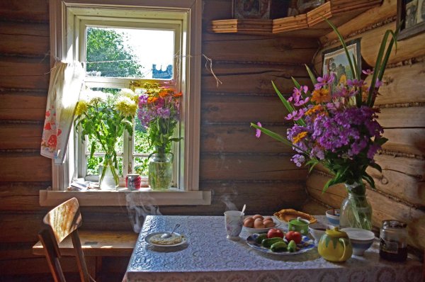 Утро на даче