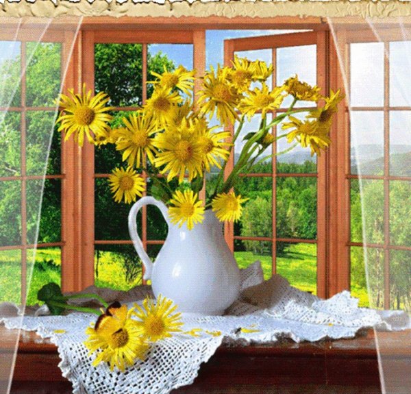 Окно в Солнечный день